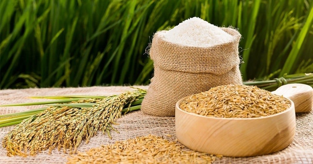 Giá thực phẩm hôm nay ngày 14/11: Giá lợn hơi ghi nhận mức cao nhất 58.000 đồng/kg, giá lúa gạo duy trì ổn định