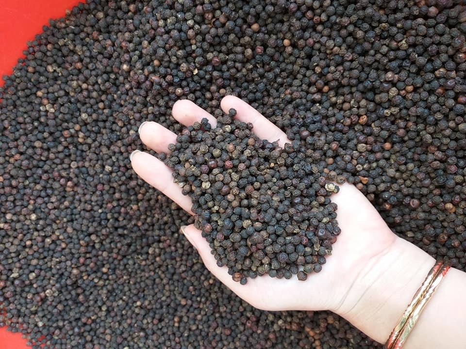 Giá cà phê và hồ tiêu ngày 18/11: giá cà phê tiếp tục giảm 200 đồng/kg, dự báo thị trường tiêu sẽ khởi sắc trở lại