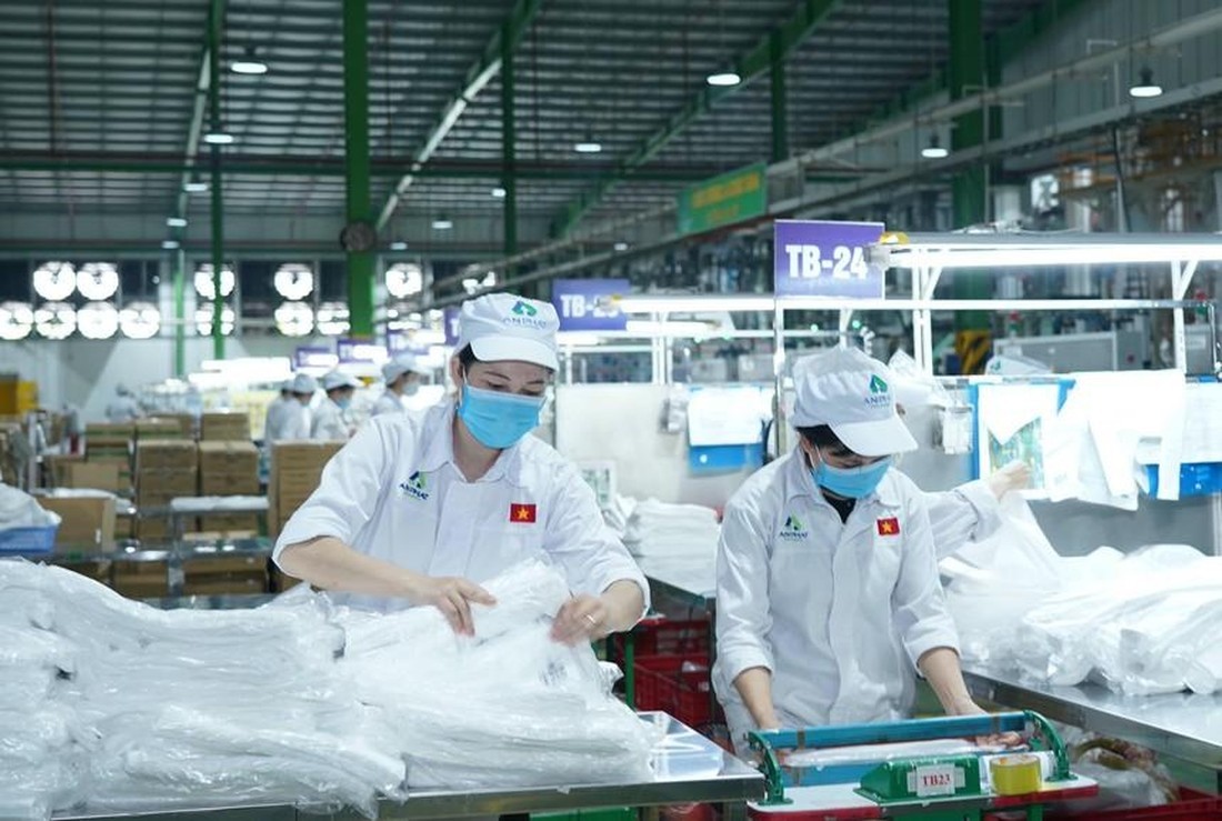 Nhựa An Phát Xanh (AAA) nâng sở hữu tại Navisoft lên 49%