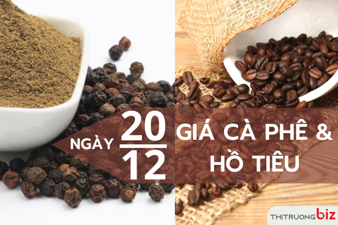 Giá cà phê và hồ tiêu hôm nay 20/12: Giá cà phê trong nước đi ngang, giá tiêu giảm 500 đồng/kg tại Đông Nam bộ