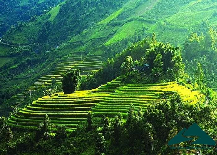 Top 04 địa điểm “săn” ảnh Tết Nguyên Đán 2023 tuyệt đẹp ở miền Bắc
