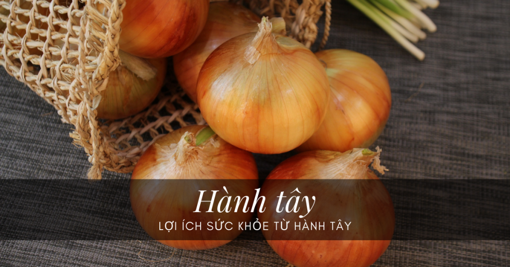 Hành tây có rất nhiều lợi ích cho sức khỏe.