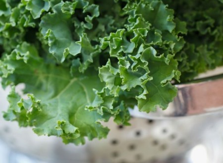 Món salad từ rau xà lách xoăn là một lựa chọn tuyệt vời.