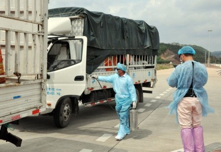 Trung Quốc tạm dừng nhập khẩu mặt hàng thanh long tại Cầu phao tạm Đông Hưng. Ảnh minh họa