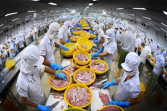 COVID-19 khiến xu hướng tiêu dùng của EU với thủy sản sơ chế đông lạnh, dễ chế biến tại nhà và thủy sản đóng hộp tăng mạnh.