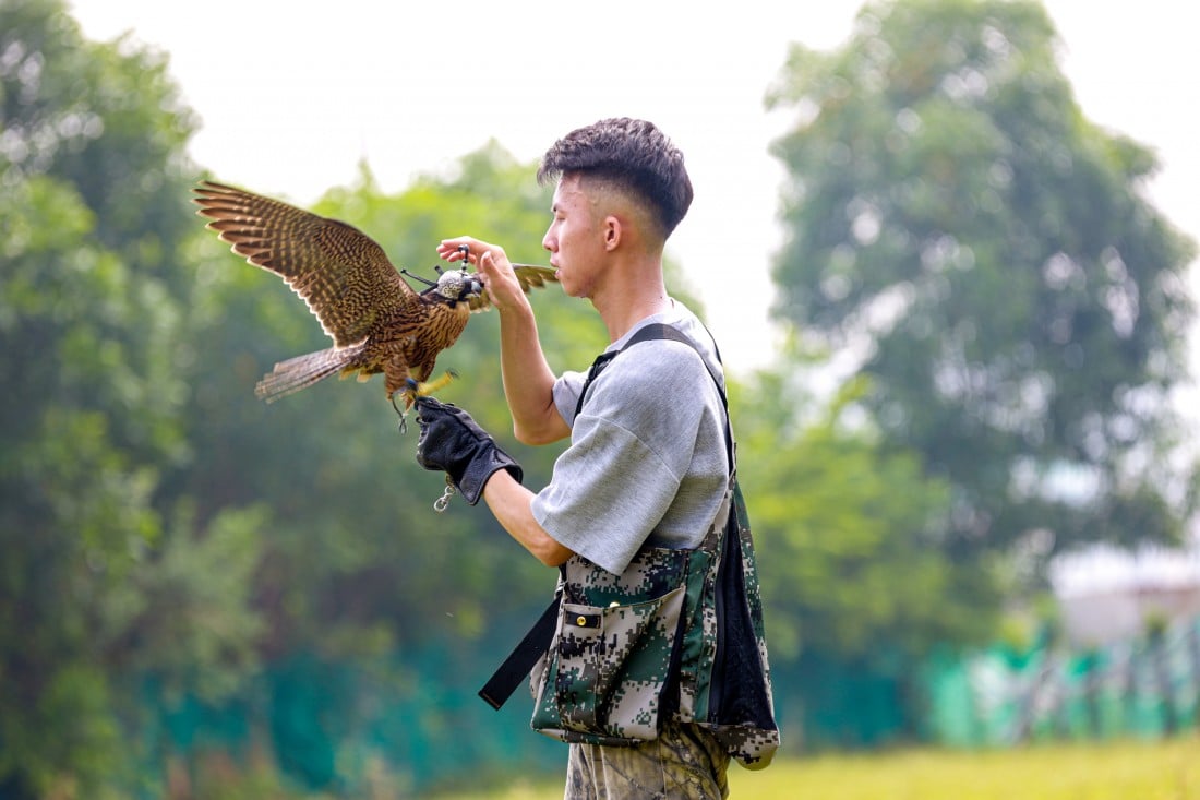 Đầu tư cả chục triệu với thú chơi chim săn mồi