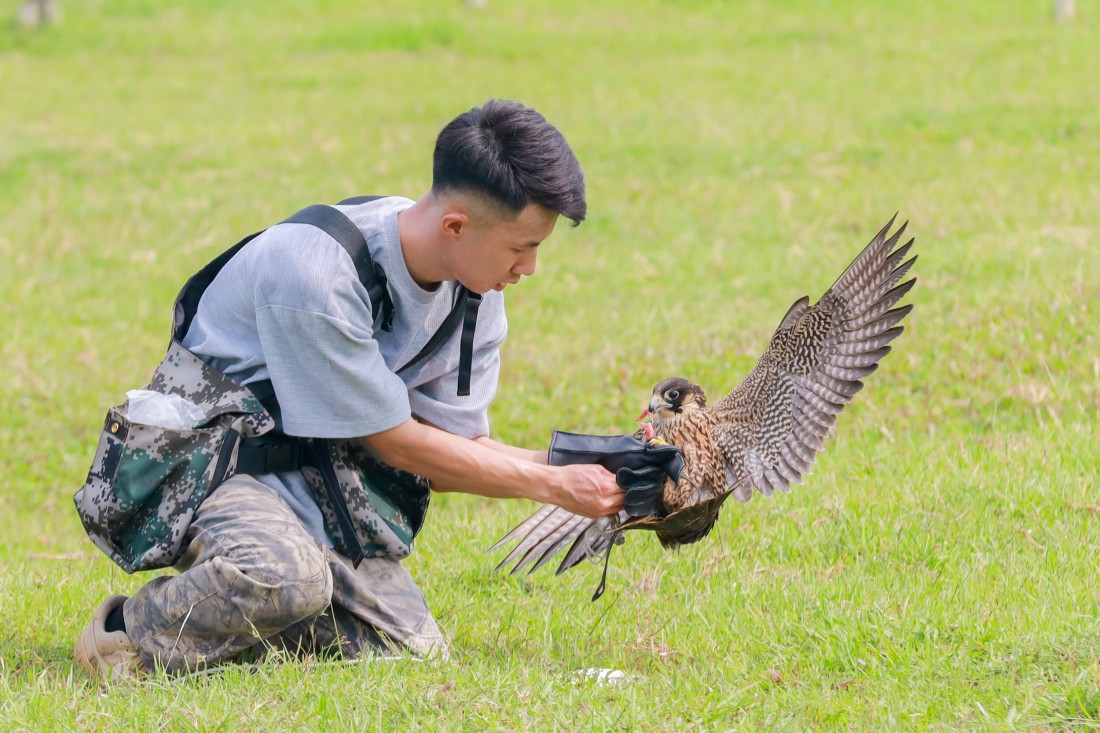 Đầu tư cả chục triệu với thú chơi chim săn mồi