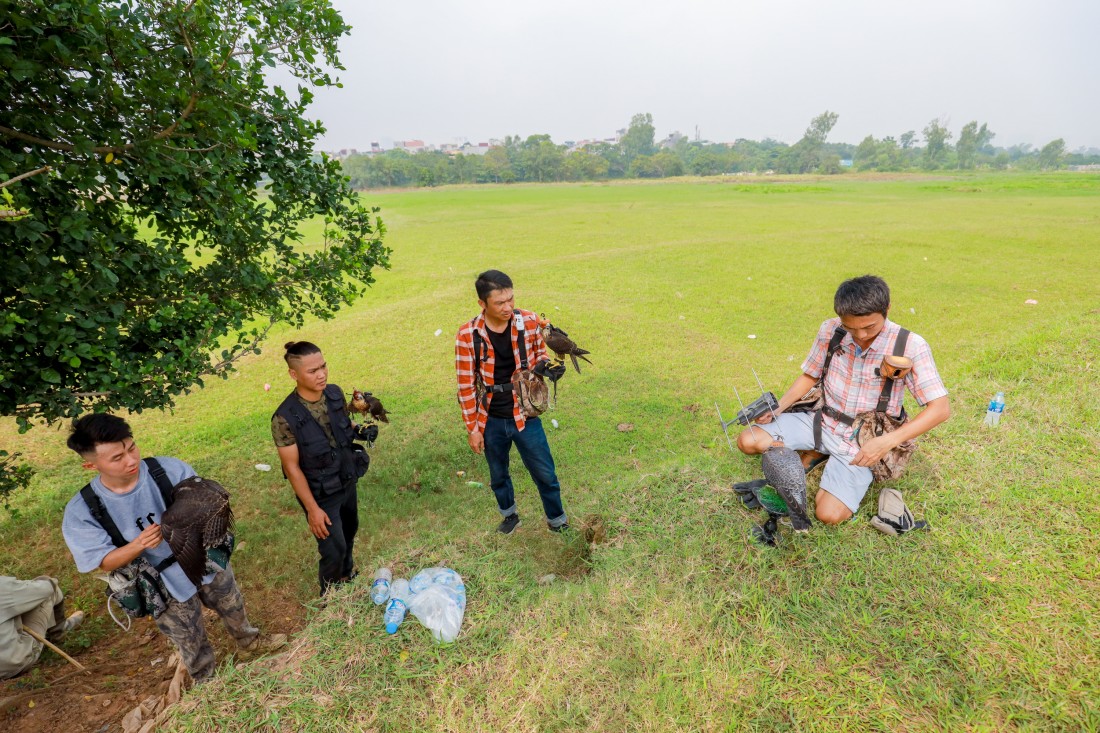 Đầu tư cả chục triệu với thú chơi chim săn mồi
