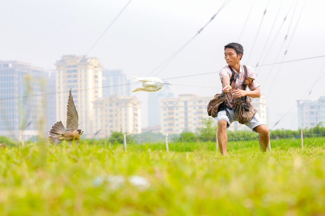 Đầu tư cả chục triệu với thú chơi chim săn mồi