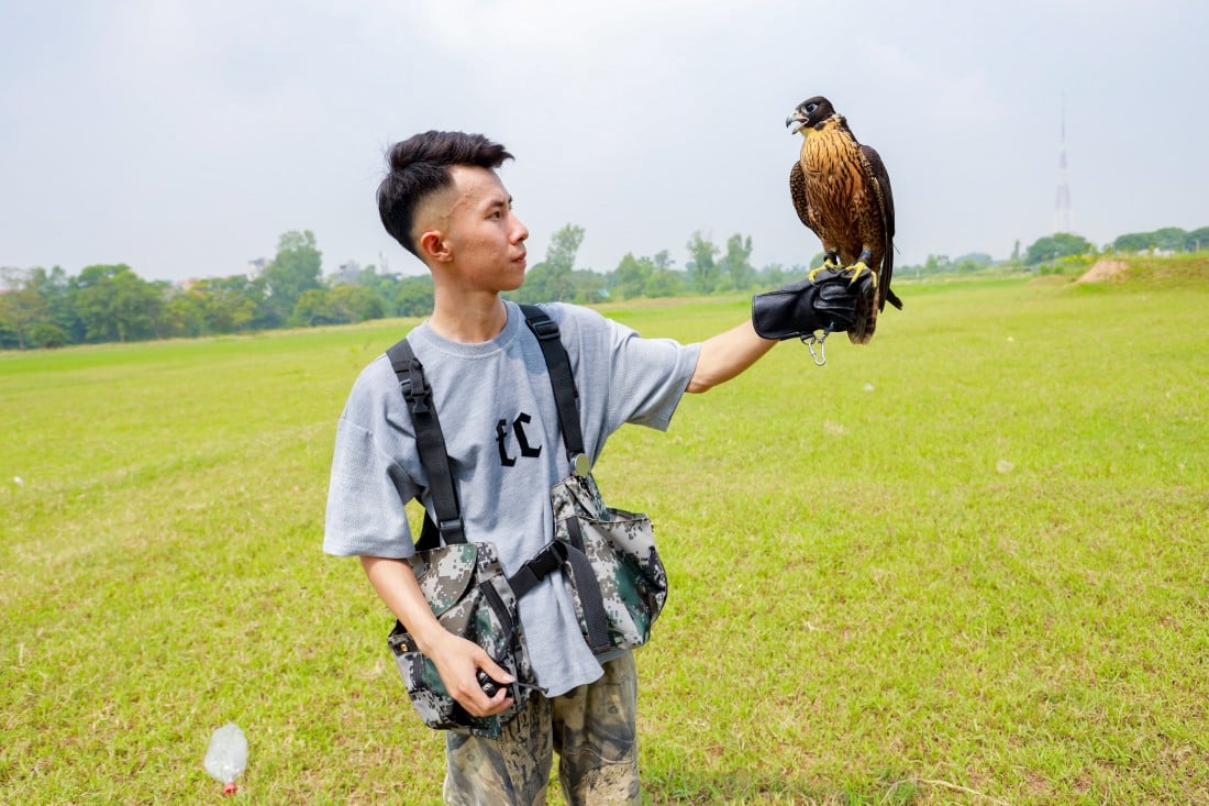 Đầu tư cả chục triệu với thú chơi chim săn mồi