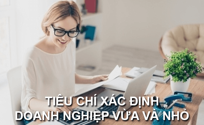 Xác định doanh nghiệp vừa và nhỏ căn cứ vào nhiều tiêu chí