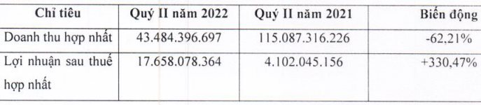 Báo cáo tài chính hợp nhất quý II/2022 của H.A.I