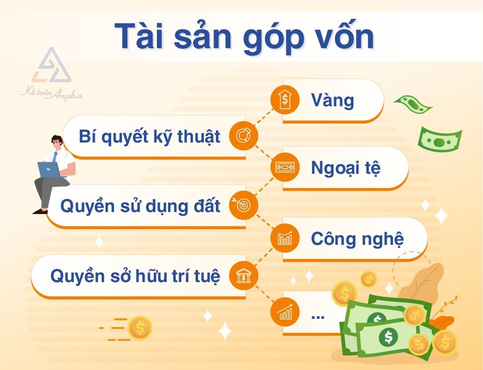 Các loại tài sản có thể góp thành vốn điều lệ.