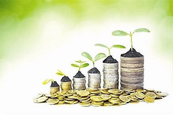 Tài chính doanh nghiệp là gì? Vai trò tài chính doanh nghiệp