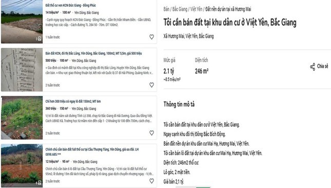 Lô đất thổ cư 246m2 có 2 mặt tiền tại xã Hương Mai (huyện Việt Yên, Bắc Giang) đang được rao bán với giá 2,1 tỷ đồng ( tương đương 8,5 triệu đồng/m2) dù hồi giữa tháng 6 đất ở khu vực này có giá từ 17 - 23 triệu đồng/m2.
