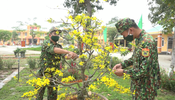 Chiến sĩ Đồn biên phòng cắt tỉa cành mai đón Tết