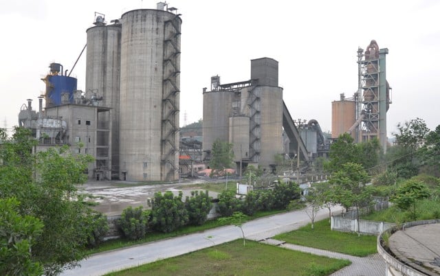 Công ty CP Xi măng Tân Quang