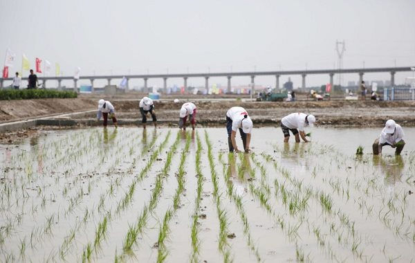 gachinas-plan-to-feed-80-million-people-with-its-saltwater-1280x720.jpg