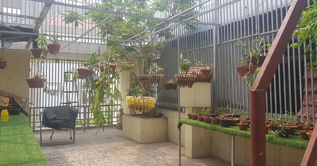 Vườn lan đột biến bị bỏ hoang tại số 1, ngõ 83, thôn An Thọ, xã An Khánh (H.Hoài Đức, Hà Nội), khi chủ vườn là người thuê nhà hiện đã biệt tăm