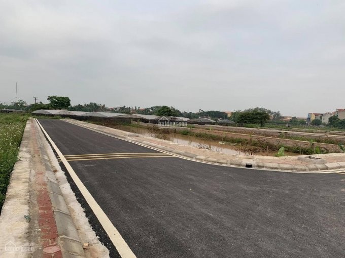 Giá đất nền Hà Nội giảm khi có văn bản cấm phân lô, tách thửa của Sở Tài nguyên & Môi trường. Ảnh minh họa