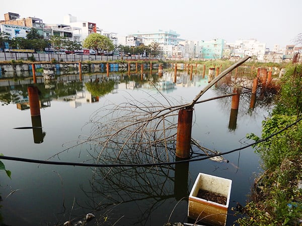 Dự án Trung tâm thương mại, căn hộ cao cấp và khách sạn 5 sao DANANG CENTER 'treo' dai dẳng suốt hơn chục năm qua và đang trở thành nơi ao tù nuốc đọng, ô nhiễm môi trường ngay giữa trung tâm TP Đà Nẵng Dự án Trung tâm thương mại, căn hộ cao cấp và khách sạn 5 sao DANANG CENTER 'treo' dai dẳng suốt hơn chục năm qua và đang trở thành nơi ao tù nuốc đọng, ô nhiễm môi trường ngay giữa trung tâm TP Đà Nẵng