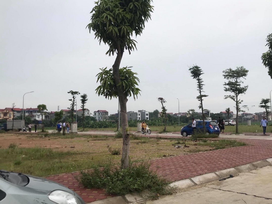 Hà Nội yêu cầu thanh kiểm tra vi phạm về phân lô, bán nền. Ảnh minh họa