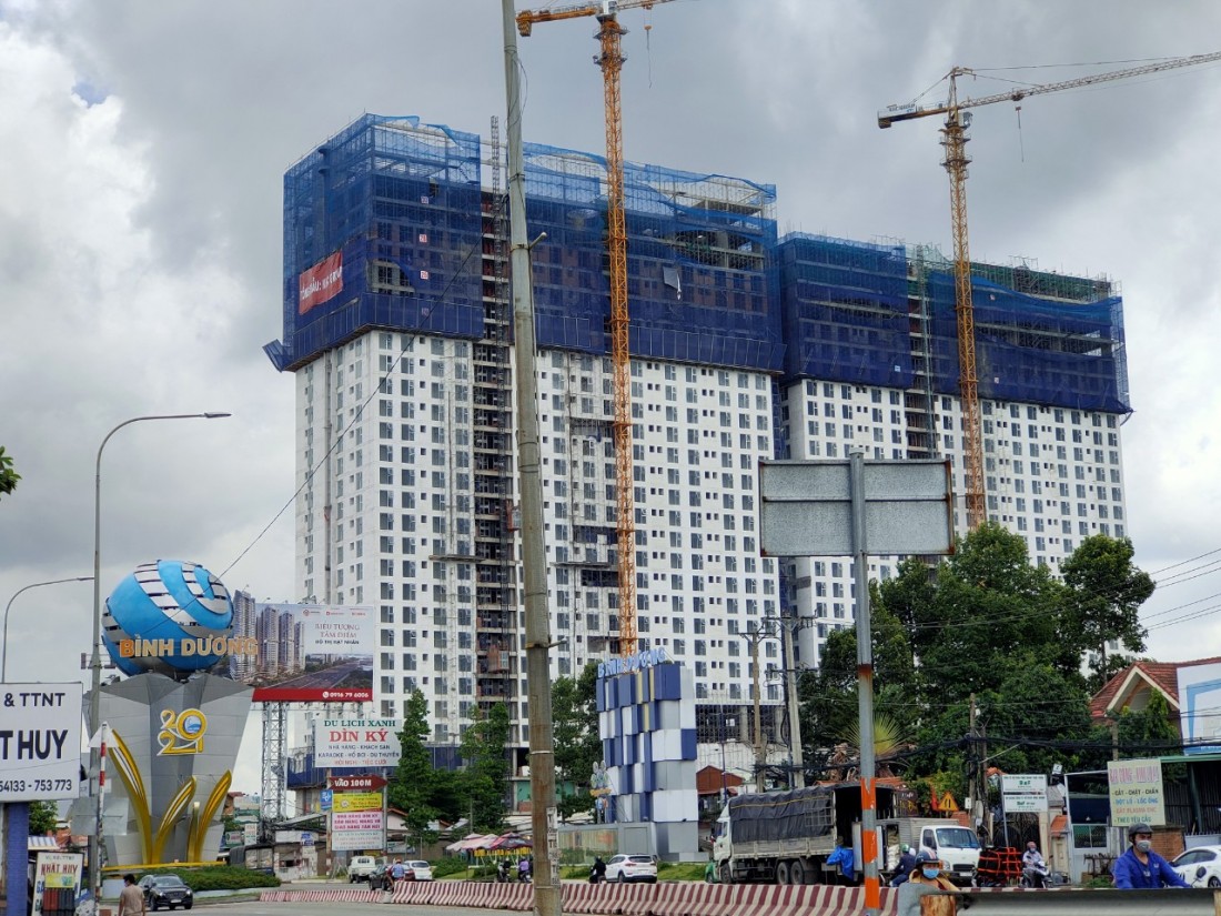 Giám đốc Công an tỉnh Bình Dương nhận định, nguyên nhân chủ yếu là do các chủ đầu tư lợi dụng những sơ hở, thiếu sót trong công tác thẩm định, cấp phép xây dựng các dự án để lách luật, huy động vốn trái phép, sau đó không bàn giao nhà, đất cho người dân như đã cam kết ban đầu dẫn đến bức xúc, phát sinh khiếu kiện.  Các dự án trọng điểm xảy ra khiếu kiện đông người gồm: dự án Khu nhà ở Suối Giữa (TP. Thủ Dầu Một), dự án Chung cư Roxana Plaza, dự án chung cư Eden - Thuận An (TP. Thuận An), dự án Khu nhà ở Thương mại Đường sắt Dĩ An, dự án khu nhà ở Đất Mới, dự án Khu nhà ở Công nhân Tân Bình và dự án chung cư Champlaza (TP. Dĩ An),...