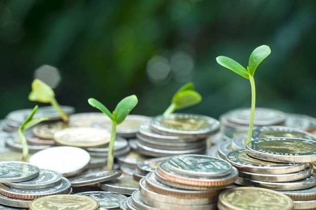 Nhiều doanh nghiệp chốt trả cổ tức tuần (8-12/8): Cao nhất 25%