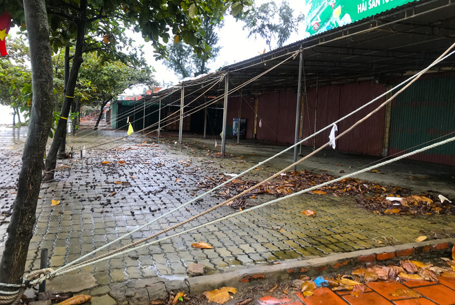 Bão số 8: Sóng cao 5m đang đánh vào bờ biển Nghệ An, hàng trăm khối đất đá sạt lở, đổ xuống quốc lộ - Ảnh 14. Bão số 8: Sóng cao 5m đang đánh vào bờ biển Nghệ An, hàng trăm khối đất đá sạt lở, đổ xuống quốc lộ - Ảnh 14.