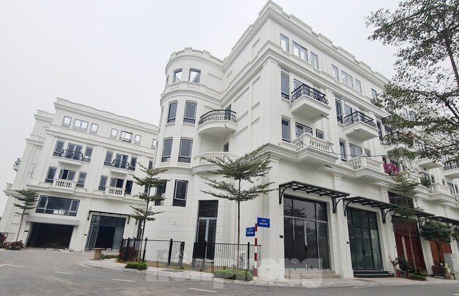 dự án Vinadic Cầu Diễn (88, Trại Gà, Phường Phú Diễn, Quận Bắc, Từ Liêm, Hà Nội) do Công ty cổ phần phát triển đầu tư Xây dựng Việt Nam (gọi tắt Vinadic) làm chủ đầu tư. Được biết, Công ty Vinadic là Công ty con của Tập Đoàn Amaccao (689 Đ. Lạc Long Quân, Phú Thượng, Tây Hồ, Hà Nội). Theo giới thiệu, AMACCAO được hình thành với tên gọi đầu tiên là Công ty cổ phần phát triển đầu tư xây dựng Việt Nam. 