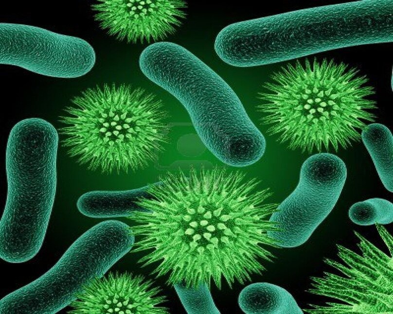 Vi khuẩn là tác nhân gây bệnh truyền nhiễm ở trẻ.