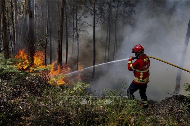 Lính cứu hỏa nỗ lực dập tắt một đám cháy tại Bồ Đào Nha ngày. Ảnh: AFP/TTXVN
