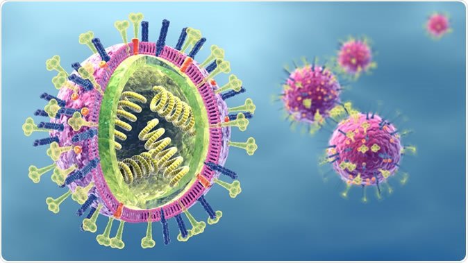 Virus cúm A là nguyên nhân chủ yếu gây nhiễm trùng đường hô hấp ở người.
