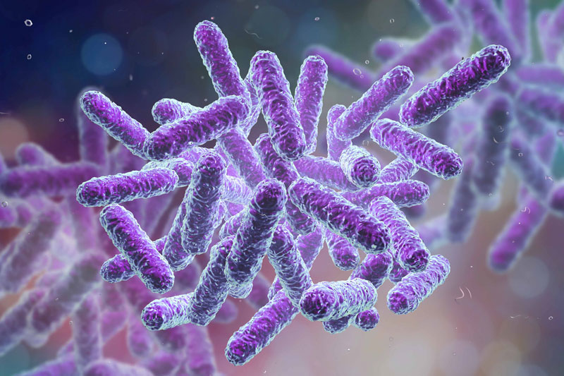 Vi khuẩn là một trong những tác nhân gây bệnh nhiễm khuẩn sơ sinh ở trẻ.