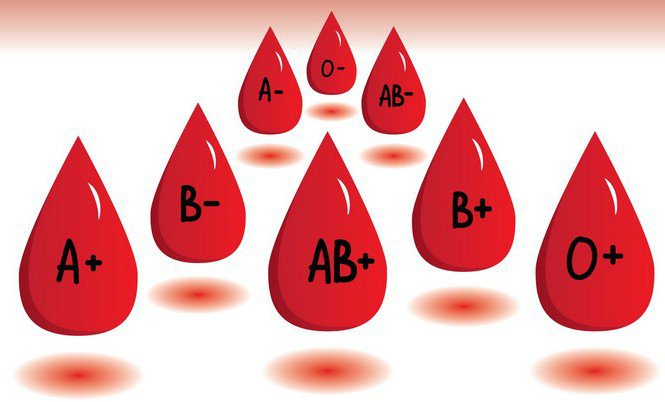 Máu có 2 hệ nhóm máu ABO và hệ Rh.