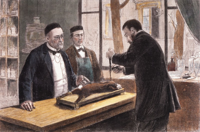 Louis Pasteur đang thử nghiệm trên một con thỏ năm 1885.