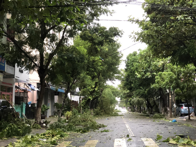 Đường phố Đà Nẵng sau khi bão quét qua. Ảnh: Đoàn Cường