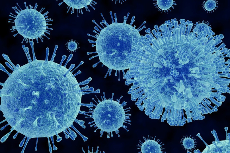Có rất nhiều loại virus là nguyên nhân gây ra tình trạng sốt siêu vi.