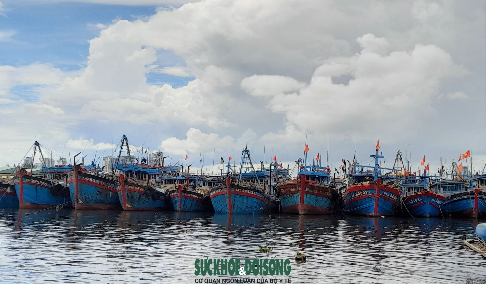  Âu thuyền Thọ Quang là nơi neo đậu tránh bão Noru của tàu thuyền ở nhiều địa phương khu vực miền Trung như: Quảng Nam, Quảng Ngãi, Thừa Thiên Huế...