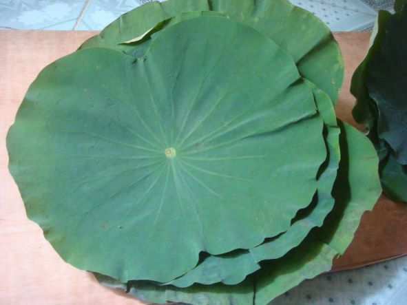 3 món ăn bài thuốc hạ mỡ máu dễ thực hiện tại nhà