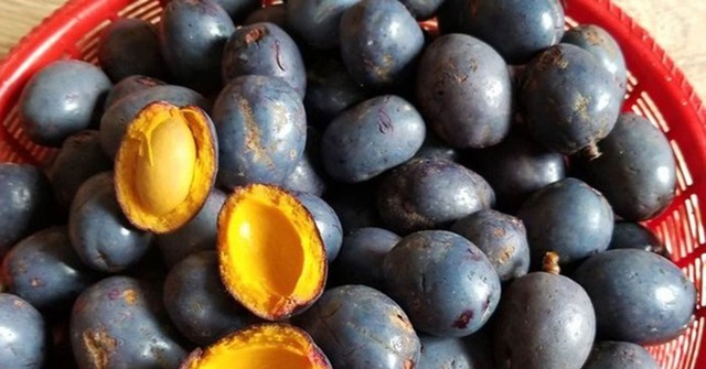 Thứ quả trước rụng đầy không ai nhặt, giờ thành đặc sản khó mua