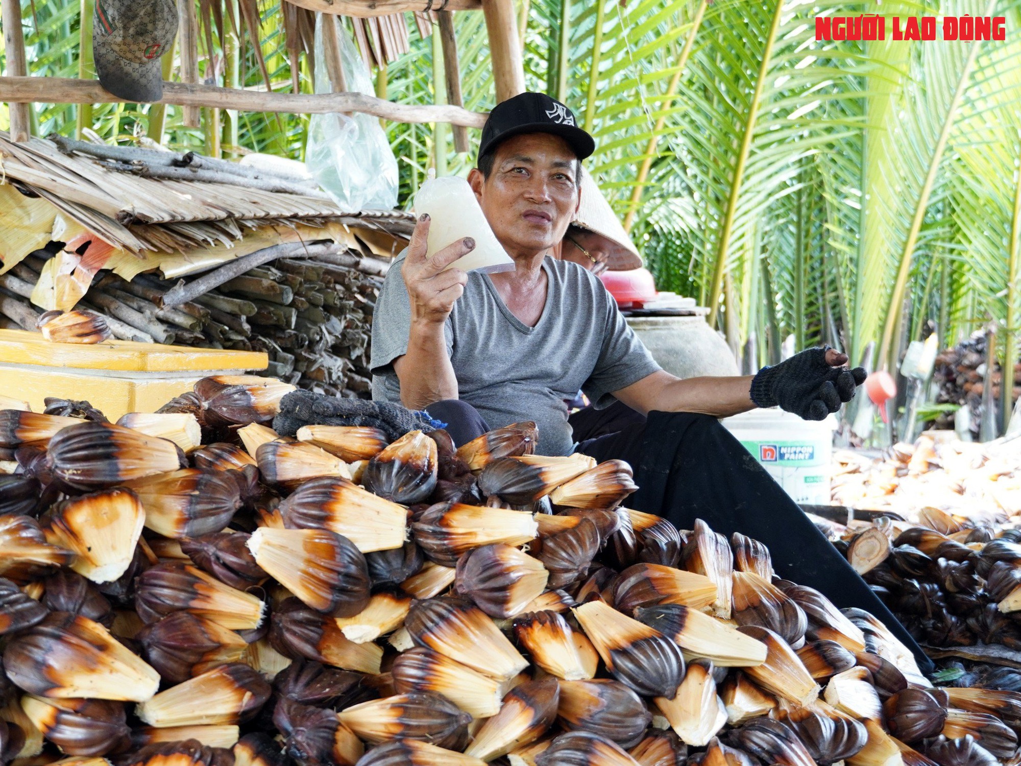 Loại trái từng bỏ đi, giờ đem về tiền triệu cho người miền Tây