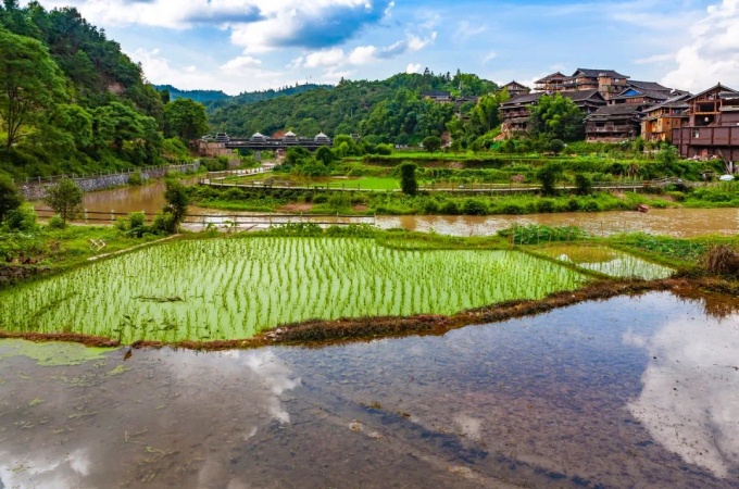 Đi khắp thành phố chỉ bằng 10 nghìn đồng, khắp nơi đậm mùi đặc trưng của món bún ốc ai ăn cũng nghiện