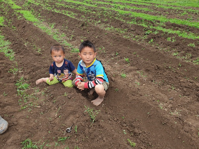 Điều kiện kinh tế còn nhiều khó khăn nên nhiều em nhỏ ở Bắc Lý chỉ biết theo bố mẹ đi nương, rẫy mỗi khi hè về.