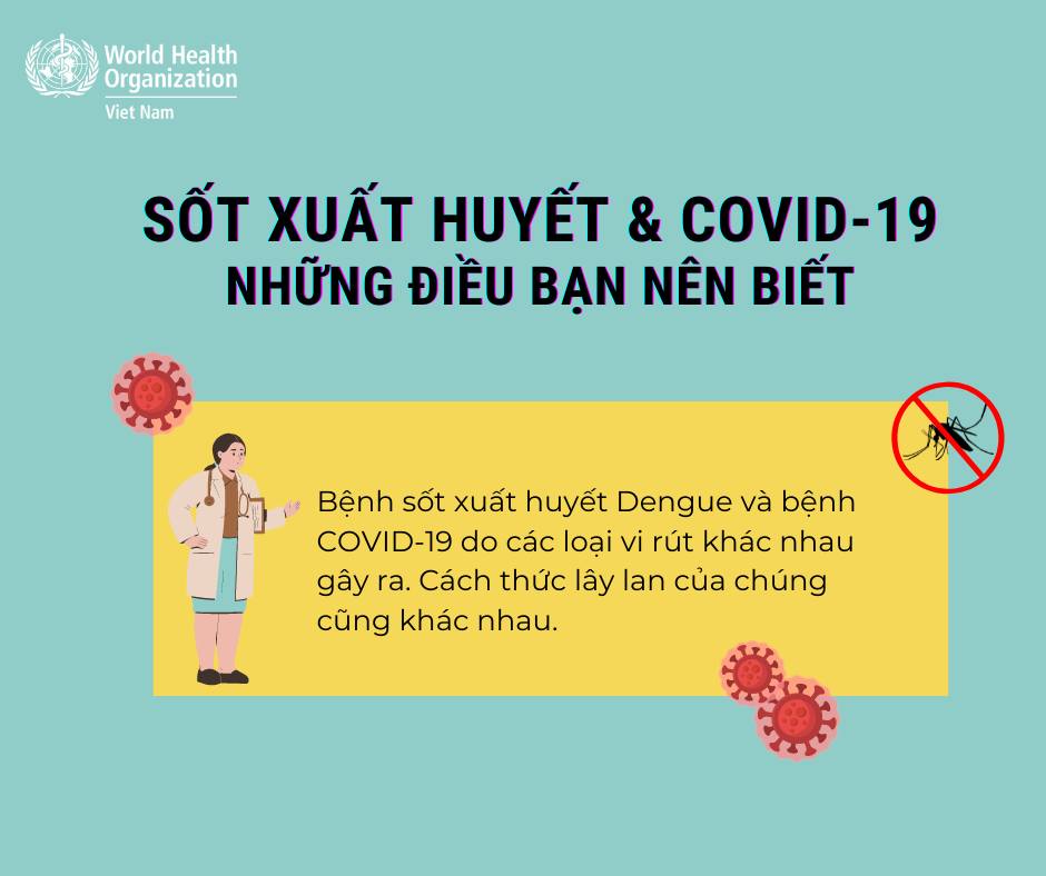  Sốt xuất huyết và COVID-19 là hai bệnh do hai loại virus khác nhau gây ra. (Nguồn WHO).