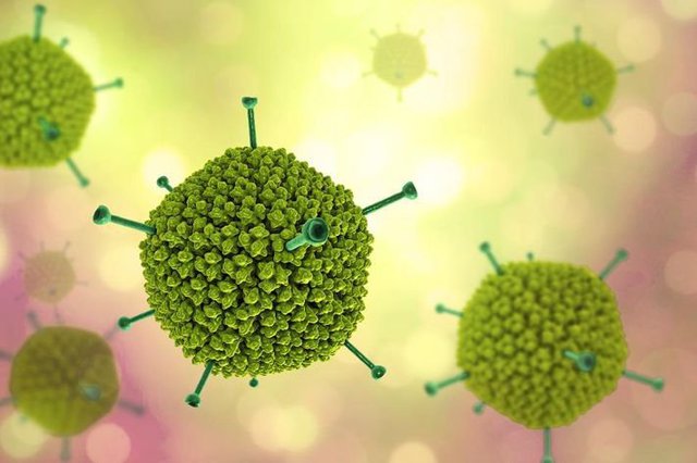  Bệnh do adenovirus là một bệnh virus cấp tính với hội chứng lâm sàng đa dạng.