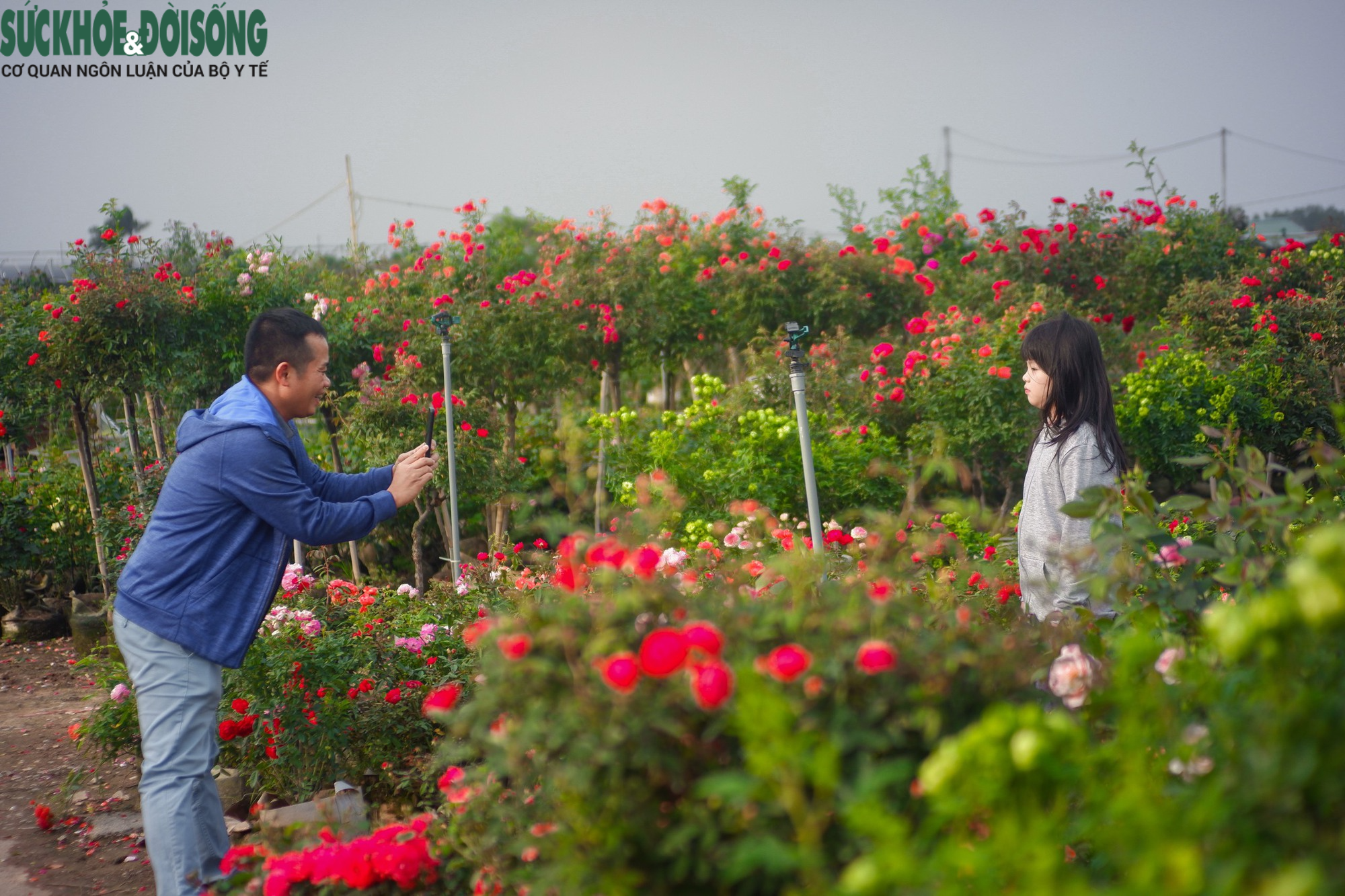  Các bậc phụ huynh đưa con nhỏ tới chợ để mua hoa Tết cũng tranh thủ vào vườn hoa Mê Linh để chụp ảnh.