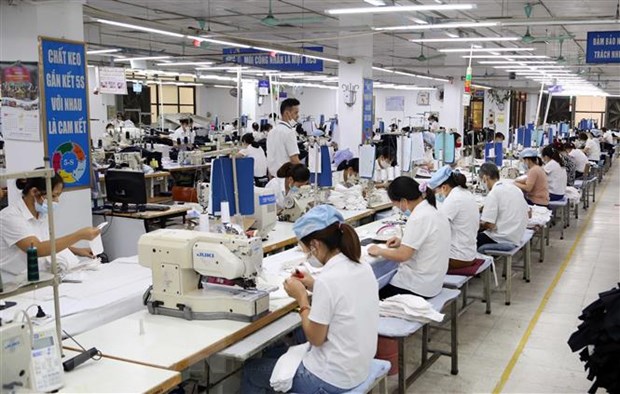 Viet Nam dat muc tieu den 2025 co it nhat 25 DNNN von hoa hon 1 ty USD hinh anh 1