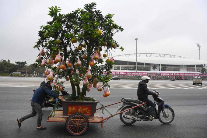 Người dân tấp nập mua hoa lan, đào quất, cây cảnh..., không khí Tết cổ truyền càng thêm đậm đà. Ảnh: AFP