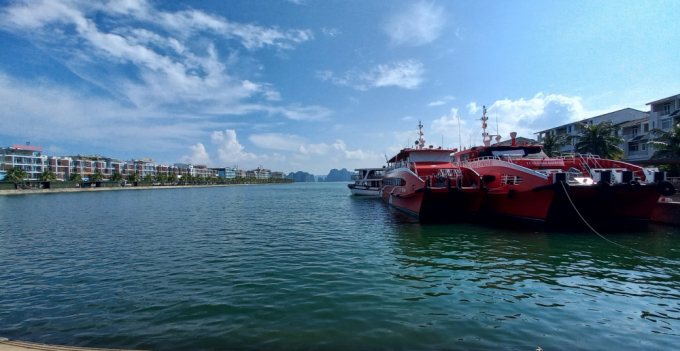Một góc nhỏ Cảng tàu khách Quốc tế Tuần Châu.